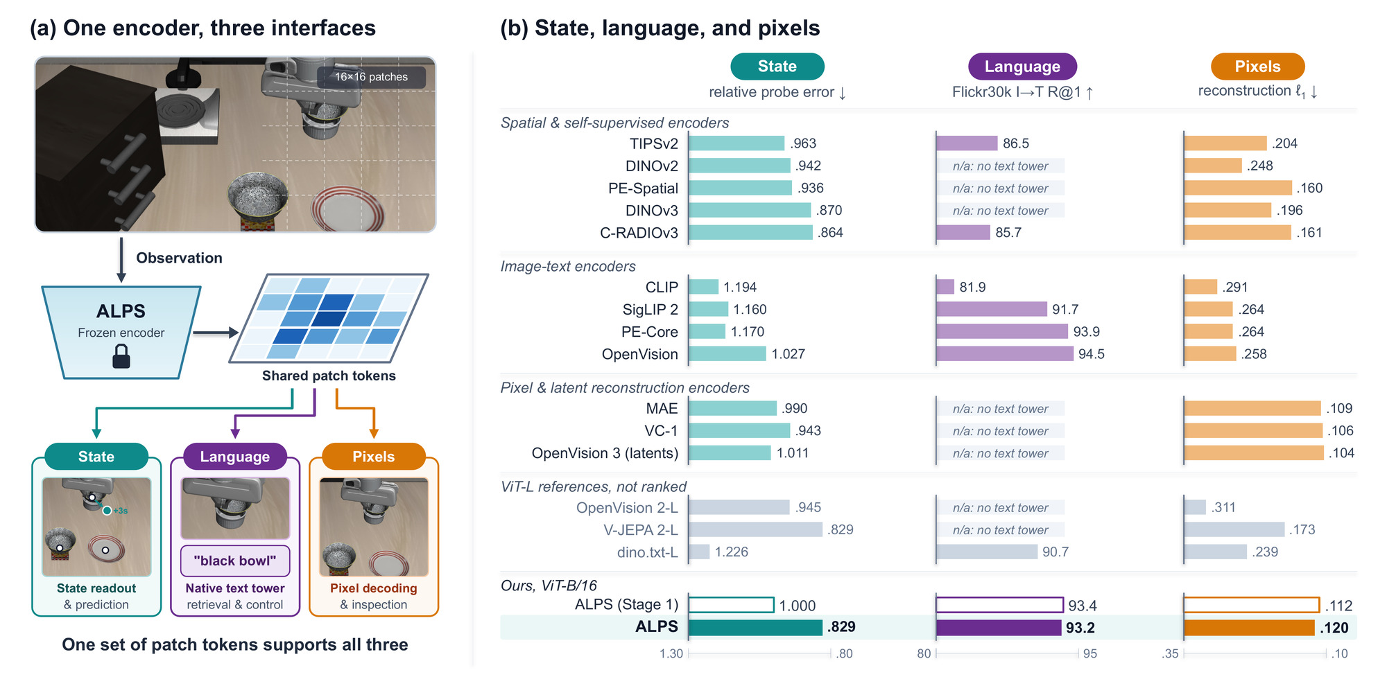 Figure 1. (a) Observation, frozen ALPS encoder, shared patch tokens, and three interfaces: state readout and prediction, native text tower, pixel decoding. (b) Bars for every encoder on state-probe error, Flickr30k image-to-text recall, and reconstruction error.