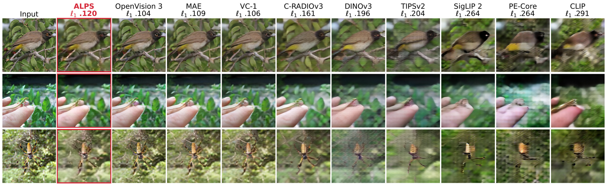 Figure 4. Three ImageNet images reconstructed by a common evaluation decoder from the frozen tokens of ten encoders, each labeled with its mean l1 error.